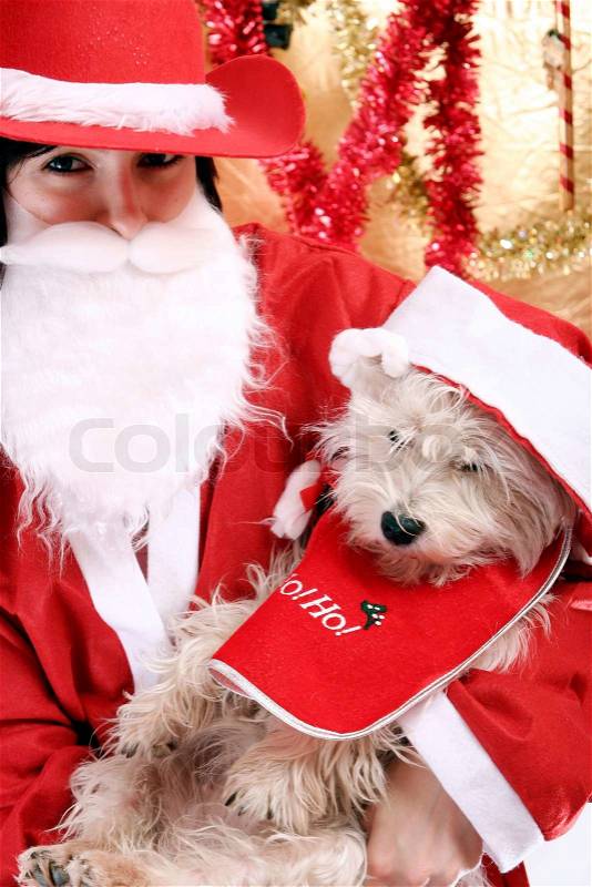 Santa claus with a white puppy in his arms, stock photo