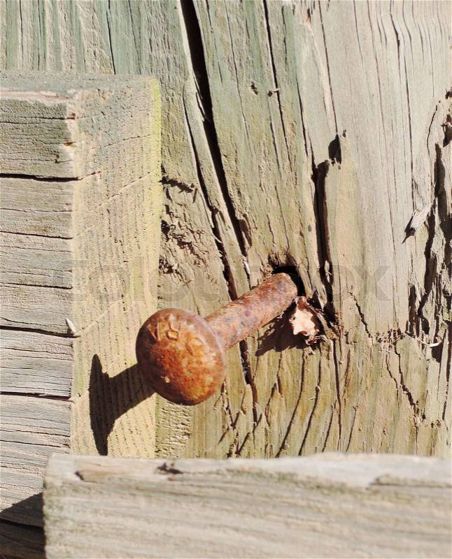 Rusty nail in old wood, stock photo