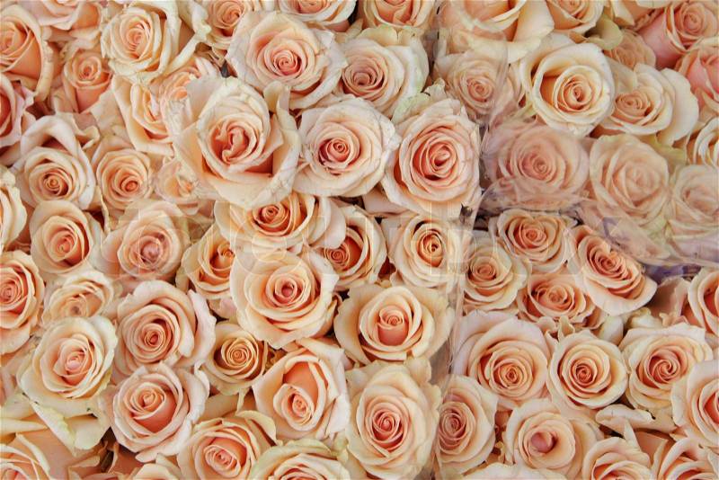 Closeup picture of flowers (roses) in a shop in paris, stock photo