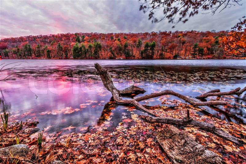 Colorful fall scenery landscapes, stock photo