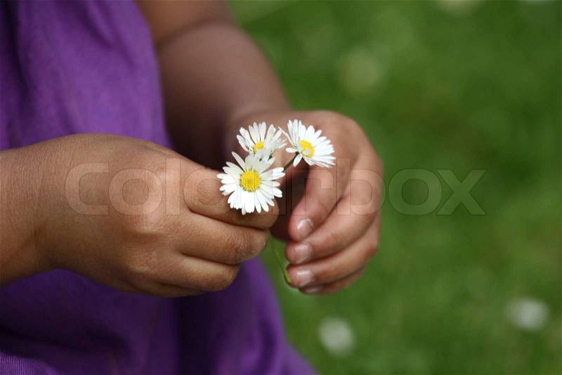 Close up of face of child hand picking up a a daisy flower in the grass, stock photo