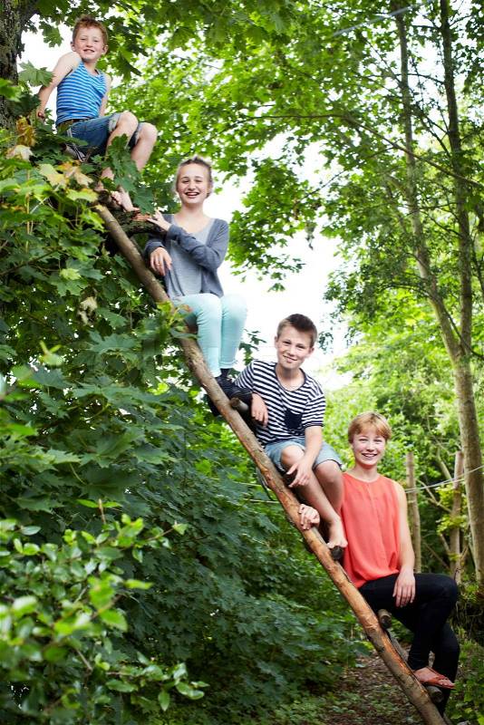 Four siblings sitting on a wooden ladder, stock photo