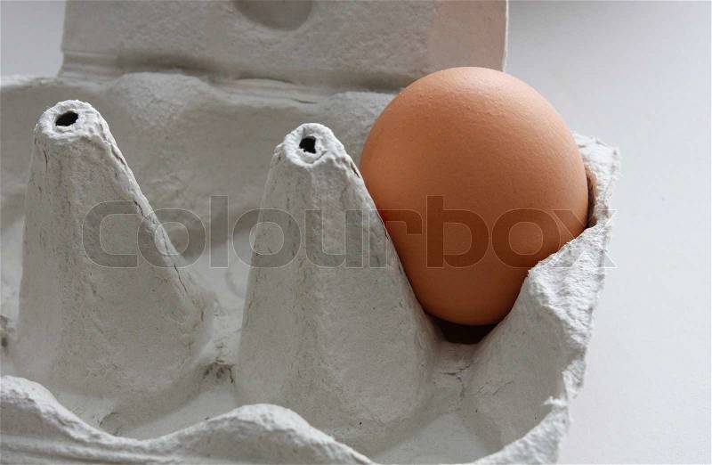 Brown egg on a carton, stock photo
