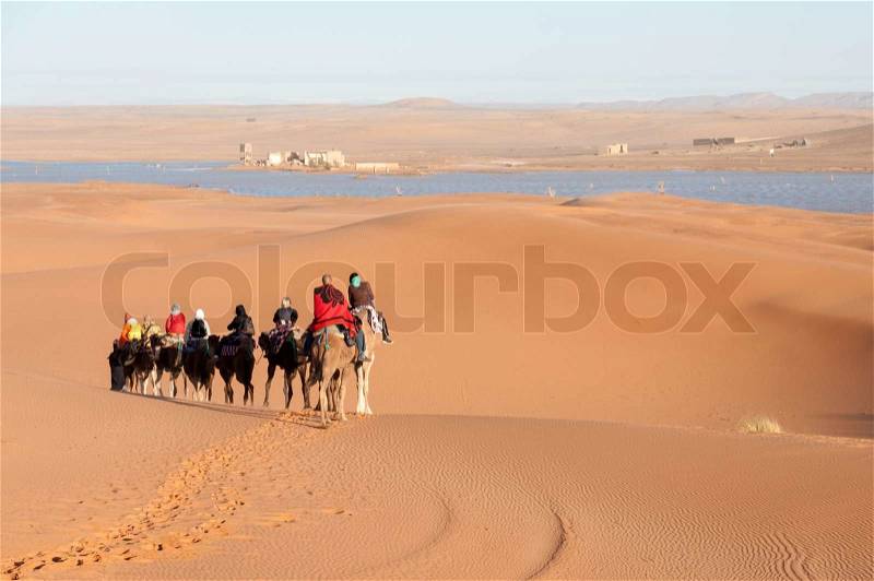 Camel caravan with tourists in the sahara desert. Morocco, Africa, stock photo