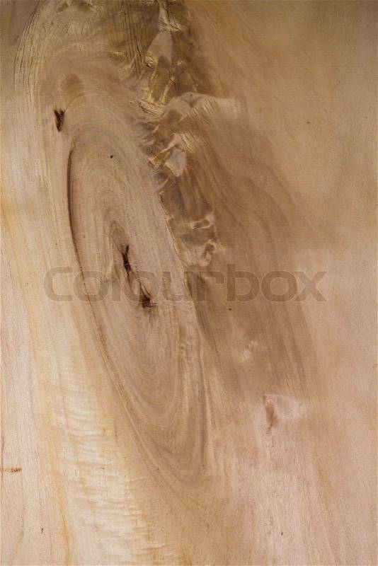 Realistic wood veneer with interesting growth rings, stock photo