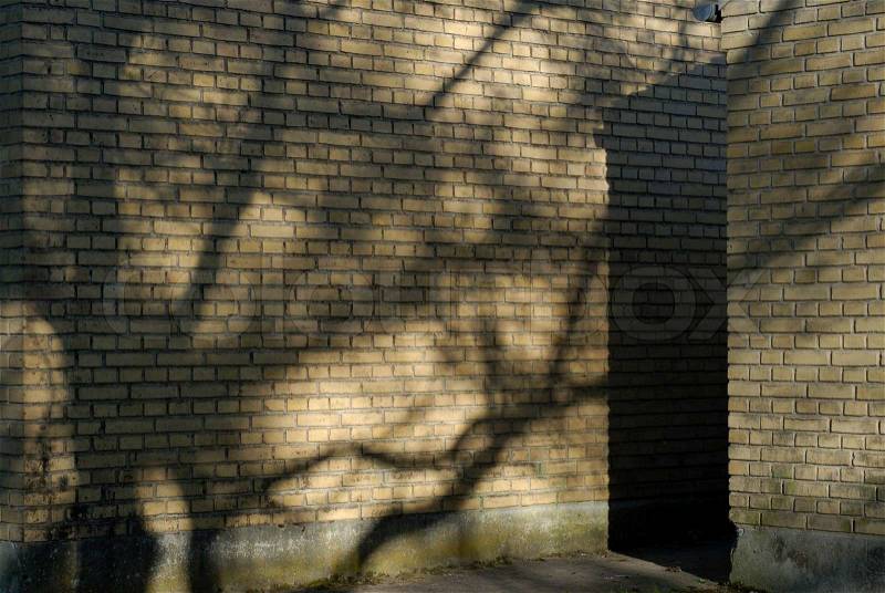 Tree shadows on yellow brick wall, stock photo