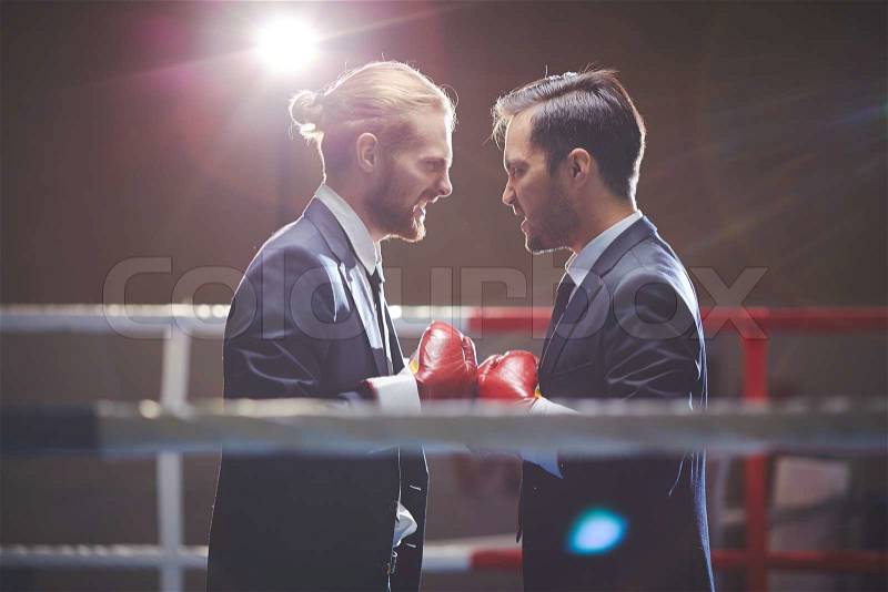 Aggressive business boxers looking at one another, stock photo