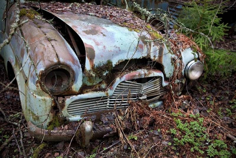 Scrap car left in the nature near the Norwegian border - Sweden. From the series Scrap in the wood, stock photo