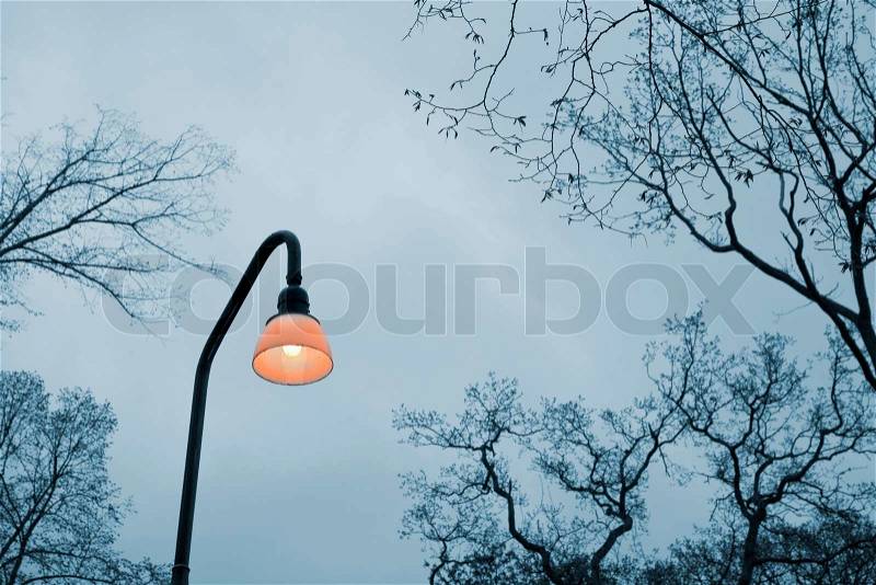 Lonely lamp in the park at dusk - early spring, stock photo