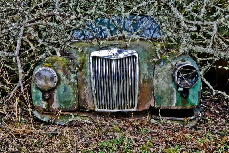 Abandoned car left in the nature near the Norwegian border - Sweden. From the series Scrap in the wood, stock photo