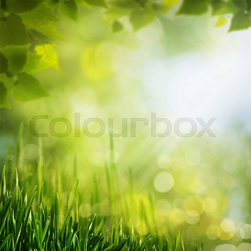 Summer seasonal backgrounds for your design, stock photo