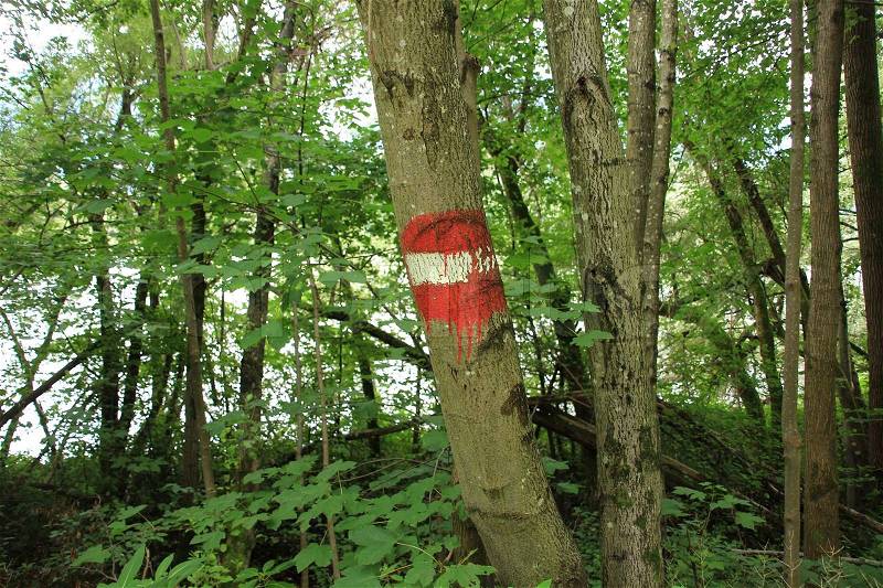 Painted signpost one-way street on the trunk of the tree in the forest in Austria, stock photo