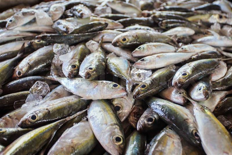 Fish in fresh market, stock photo