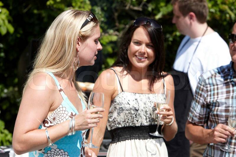 A group of young Europeans drinking white wine and enjoying a summer outdoors party (stock photo), stock photo