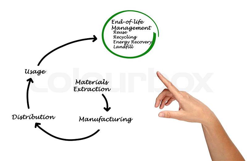 Product life cycle, stock photo