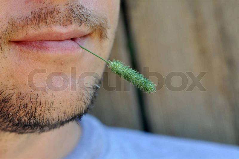 Man lips with the grass, stock photo