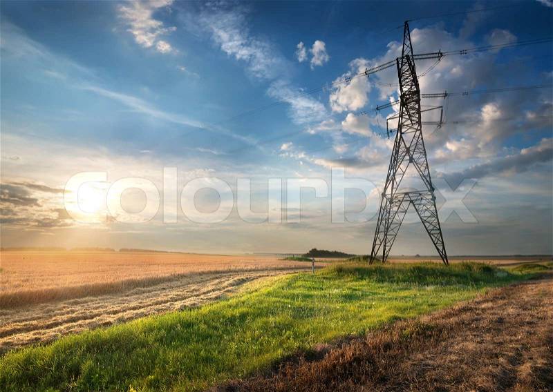 Electric pole in the autumn field at sunrise, stock photo