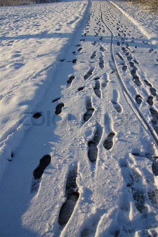 Footsteps on the path in the cold winter, stock photo