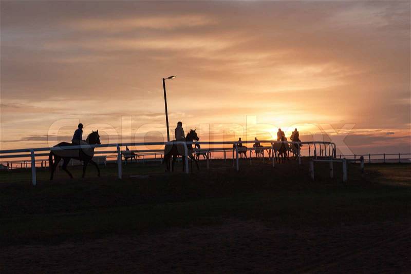 Race horses riders early dawn training silhouetted on track landscape, stock photo