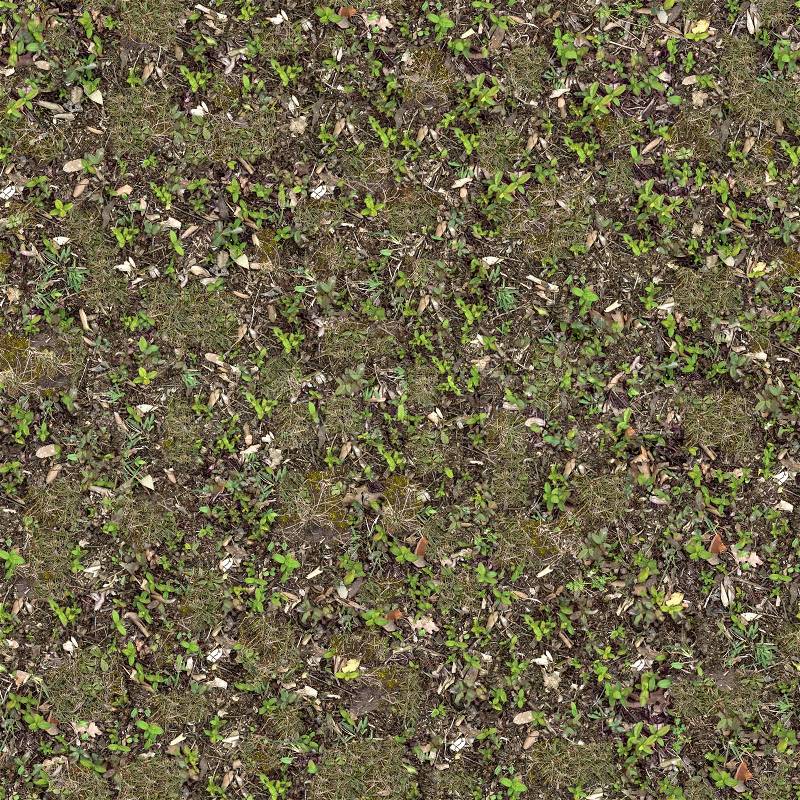 Lawn with Young Shoots and Dry Leaves. Seamless Tileable Texture, stock photo