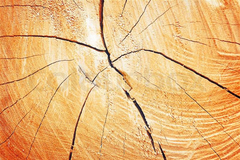 Texture of growth rings tree for background with vintage color, stock photo