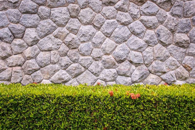 Granite stone wall and decorative garden, stock photo
