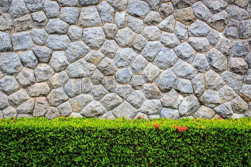 Stone wall and decorative garden, stock photo