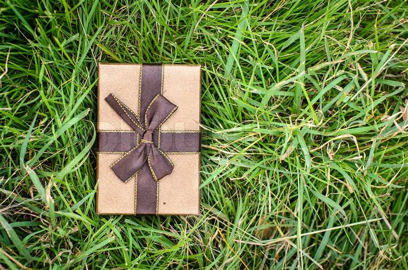Brown gift box on green grass outdoor, stock photo