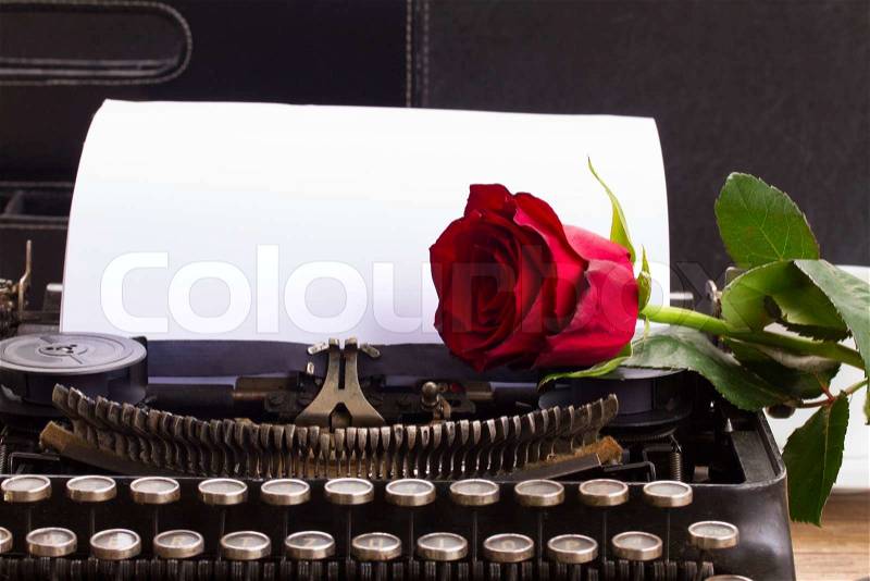 Red rose on vintage typewriter with blank page, stock photo