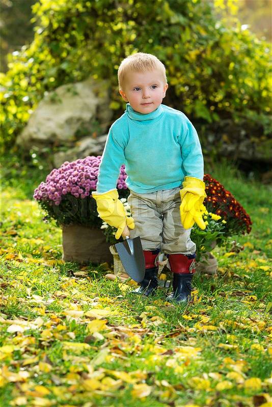 boy planting flowers in the garden , stock photo