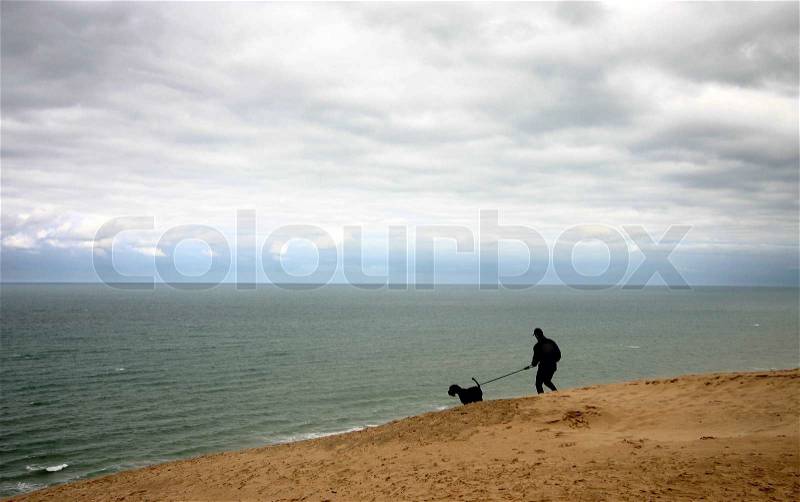 Summer in denmark: man with dog, stock photo