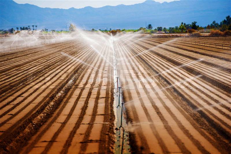 California Agriculture. Soil Watering Irrigation System. , stock photo