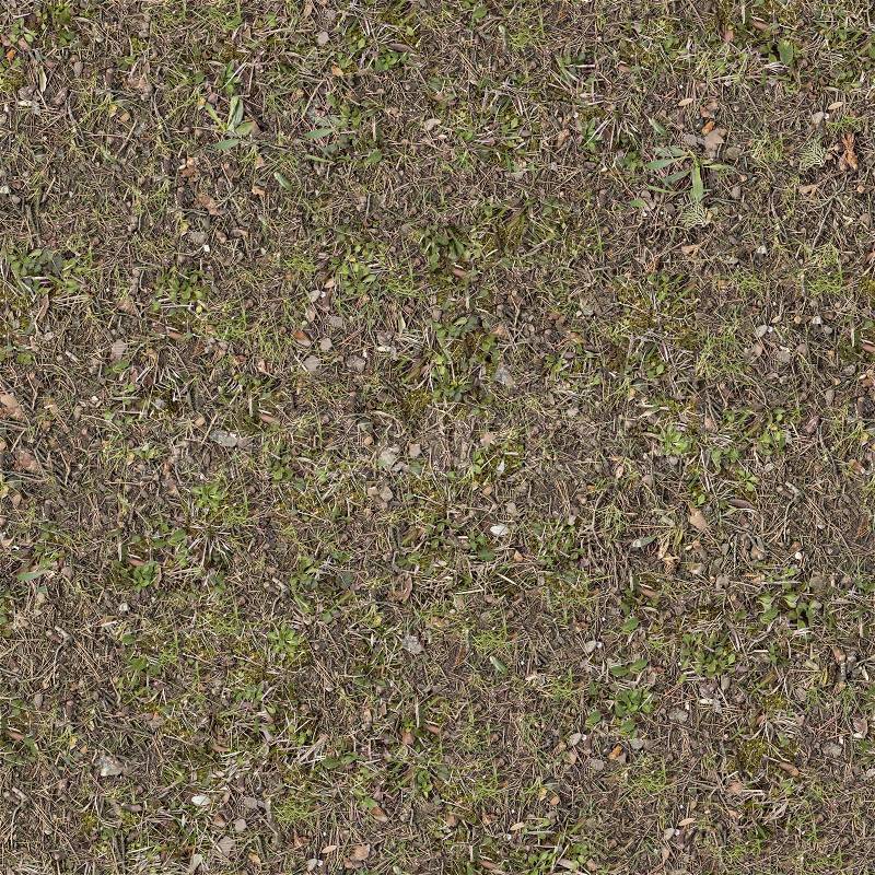 Forest Lawn with Green and Dry Grass. Seamless Tileable Texture, stock photo