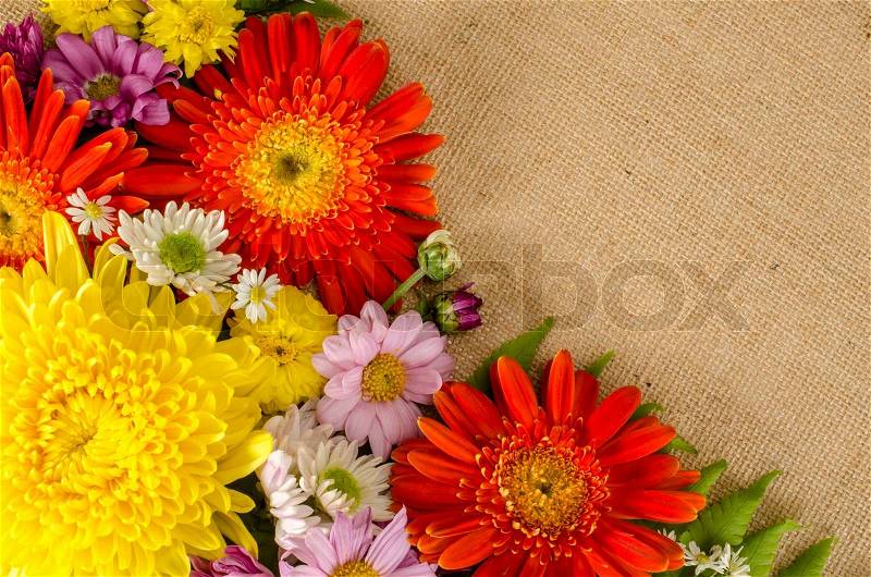 Image of full color flowers on brown sack background, stock photo