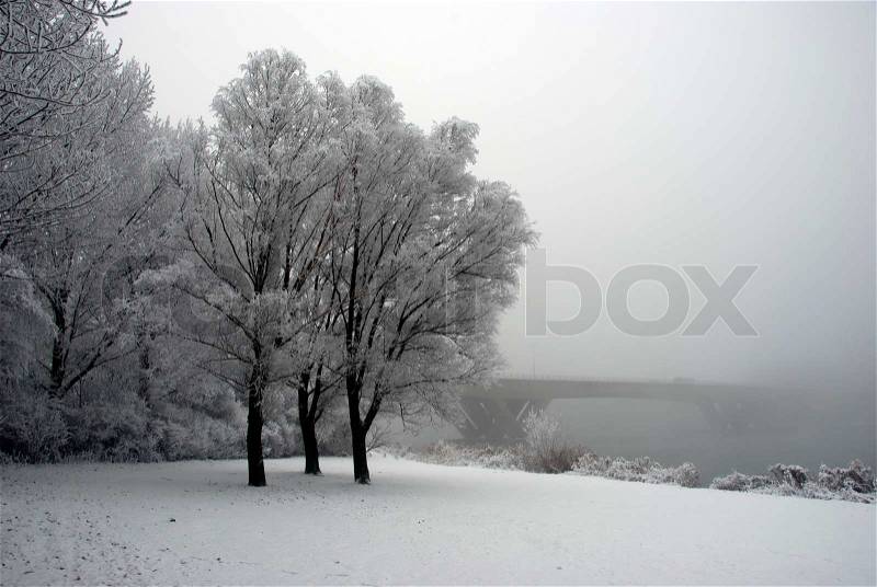 Winter and cold weather in holland, stock photo