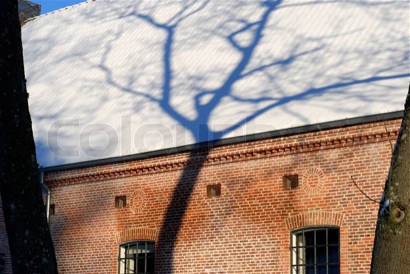 Tree shadow on white snow on roof. Sunshine and Danish winter, stock photo
