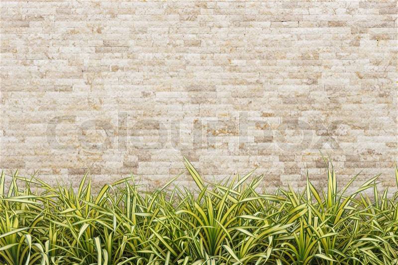 Travertine stone wall and decorative garden, stock photo