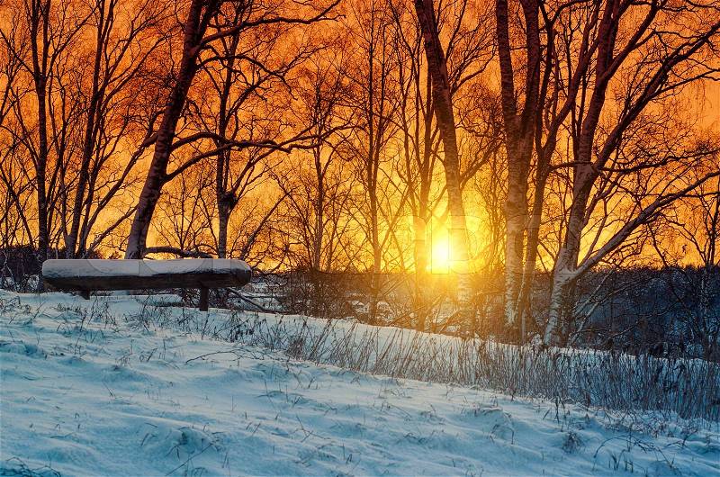 Winter sunset landscape with trees and wooden bench, stock photo
