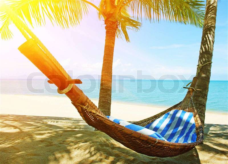 Empty hammock between palms trees at sandy beach, stock photo