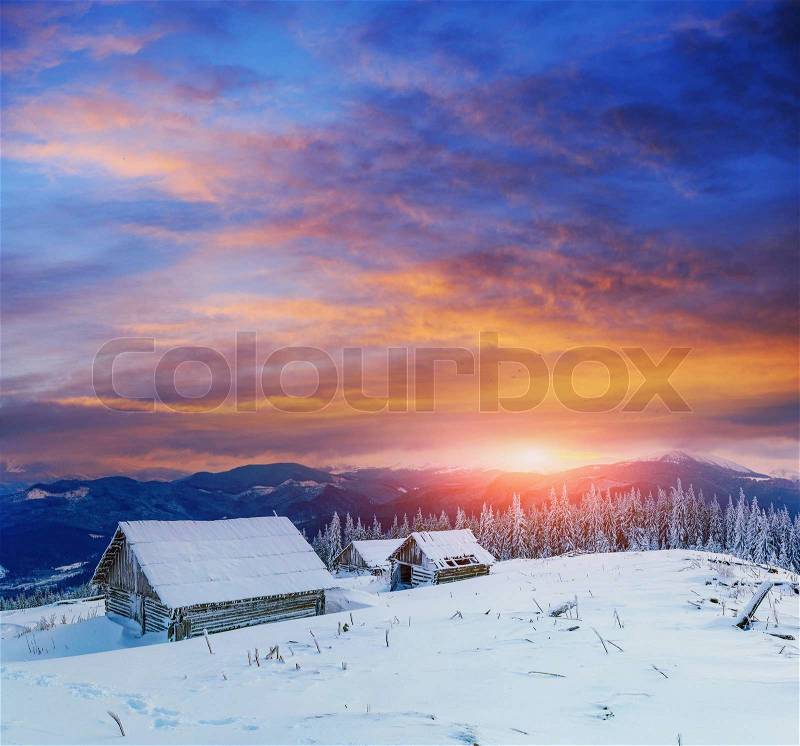 Cottage in snowy mountains with fabulous winter trees , stock photo