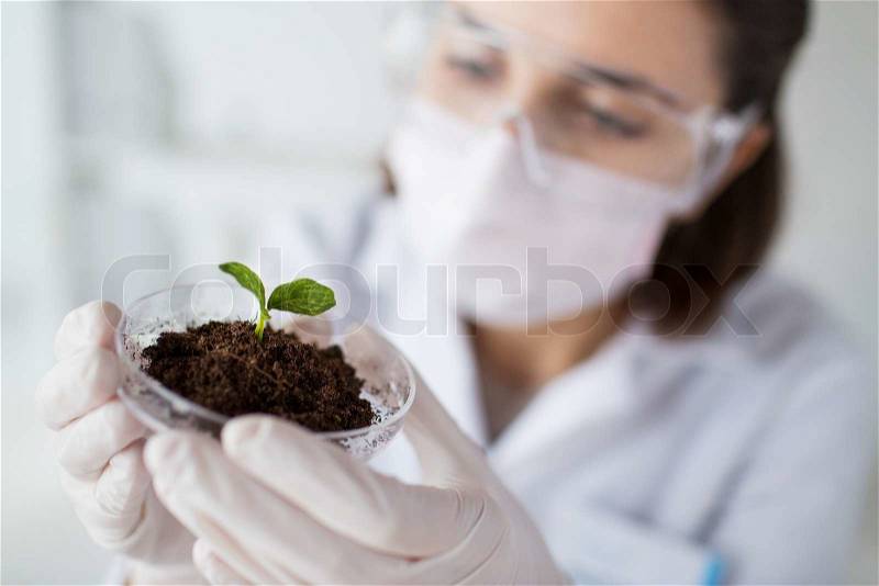Science, biology, ecology, research and people concept - close up of young female scientist wearing protective mask holding petri dish with plant and soil sample in bio laboratory, stock photo