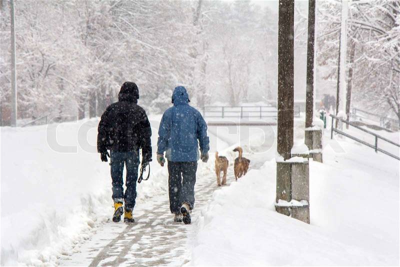 Two men and two dogs walking on snowy blizzard, stock photo
