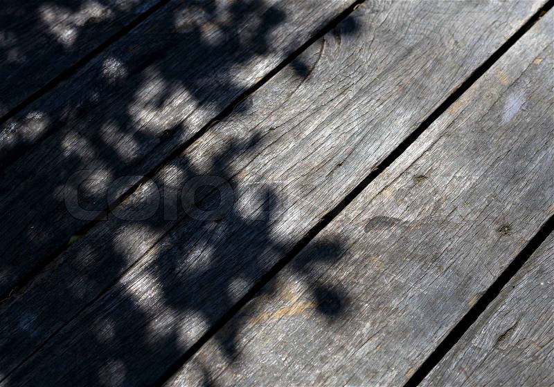 Tree shadow on the wood Background, stock photo