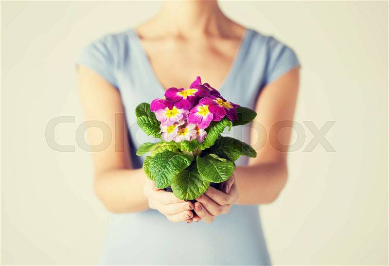 Close up of woman\'s hands holding flower in pot, stock photo