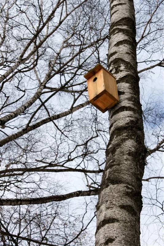 Bird house hanging on the trunk of a birch. Beginning of winter, stock photo