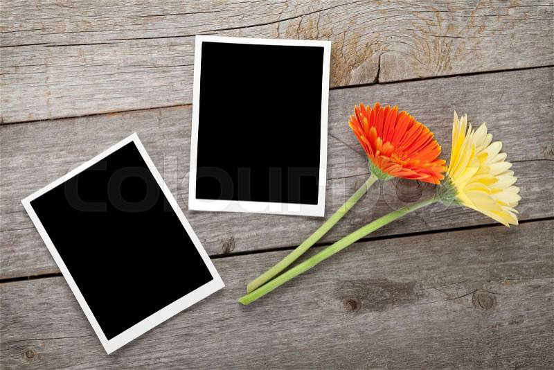 Two colorful gerbera flowers and photo frames on wooden table, stock photo