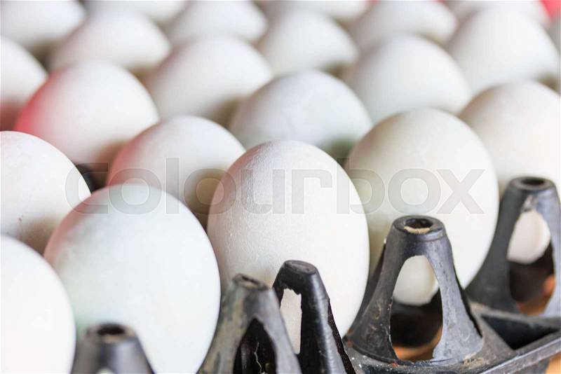 Salted egg and duck eggs, stock photo