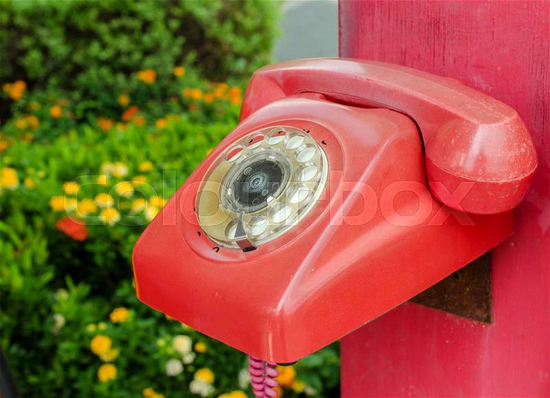 Old red phone vintage style on park, stock photo