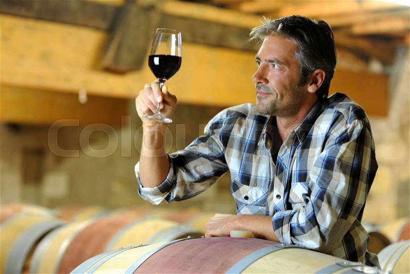 Winemaker tasting red wine in winery, stock photo