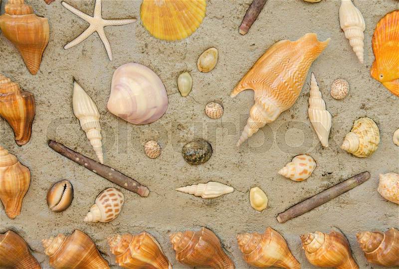 Starfish and shells to decorate on cement wall, stock photo